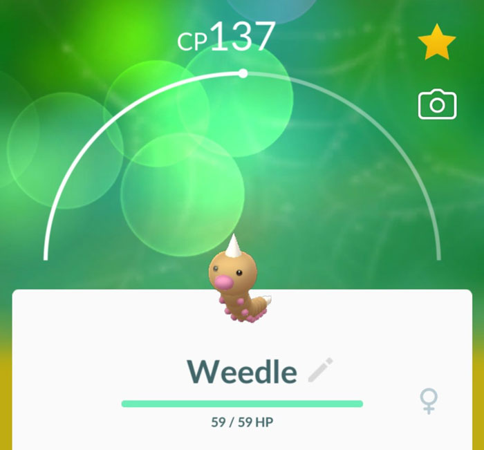 Weedle character from a mobile game with CP137 and full HP shown on a green blurred background.