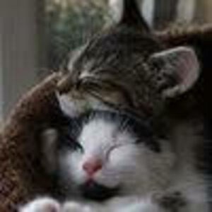 brittneyclapper1992 avatar