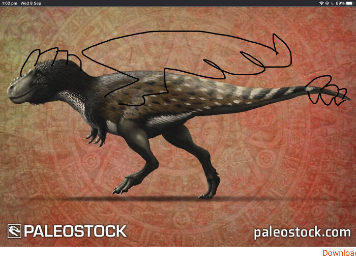 Aghhhhh! It Can Fly!