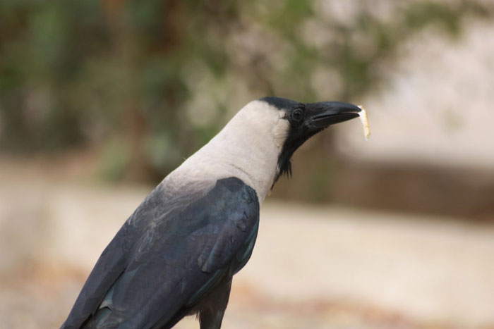 25 Hechos no tan divertidos que la gente de este grupo online no puede olvidar