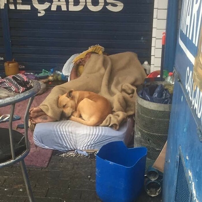 Account On Instagram Shows The Friendship Between Brazilian Homeless People And Their Dogs (183 Pics)