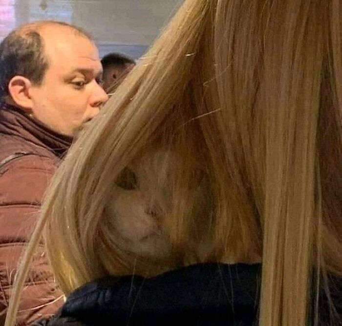 Important-Animals-Funny-Images