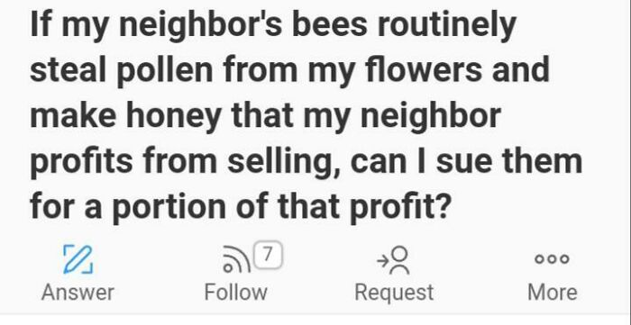 Suing Bees Is Logical