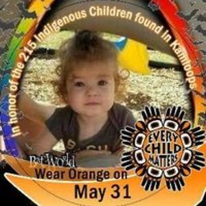 musicislife14 avatar