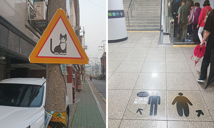 South Korea Is A Whole Different World, And These 50 Photos Are Here To Prove It