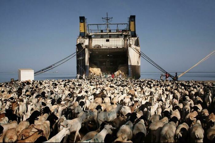 Last Concert I Attended Before Covid