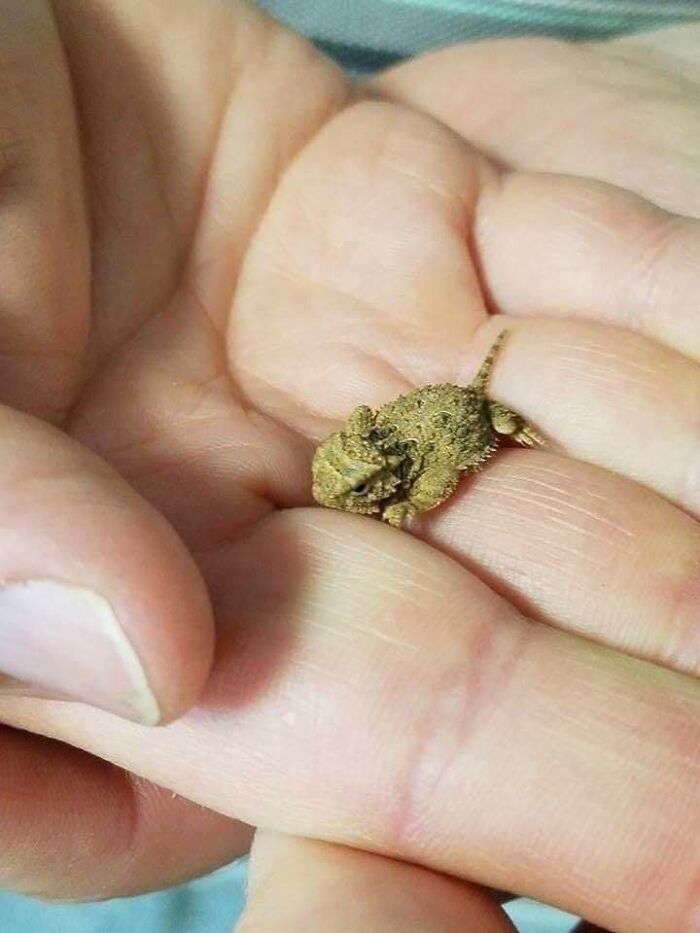 Un poco de marihuana