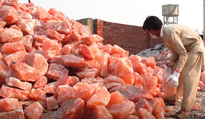 Zoo Worker Prepares To Feed The Lions