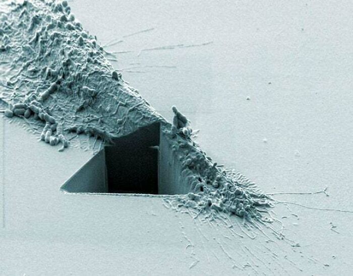 Pink Floyd's Alternative Album Cover - The White Side Of The Moon