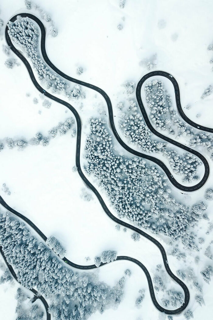 Cells Under A Microscope