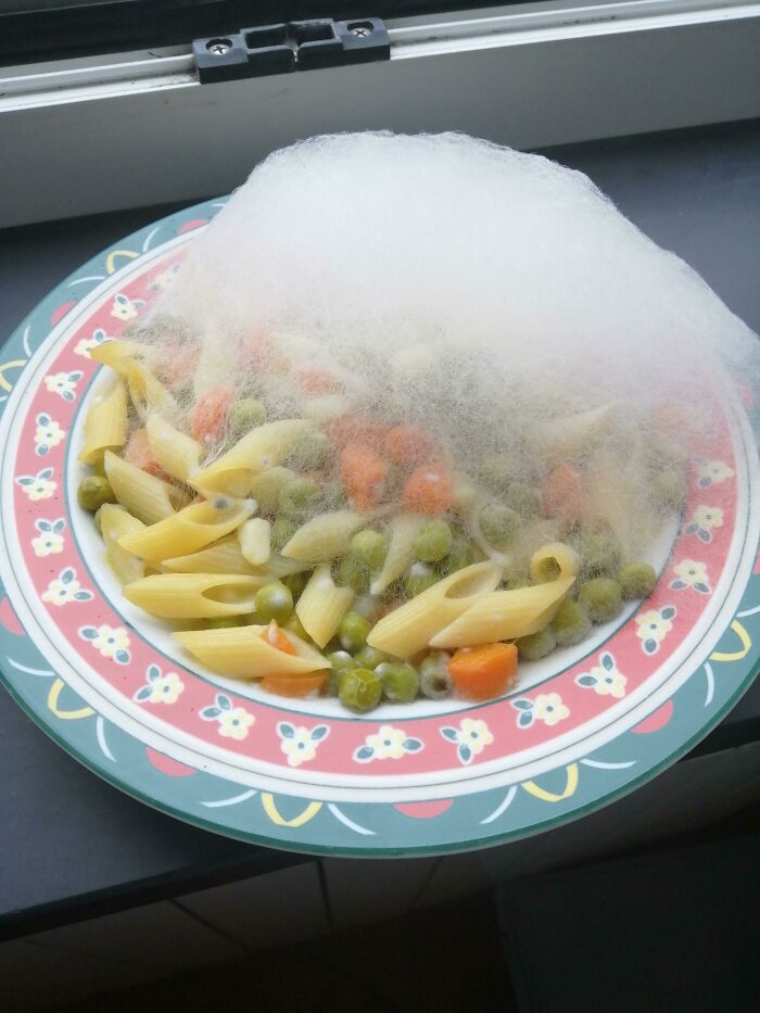 I Accidentally Got Soap Bubbles On My Food :c