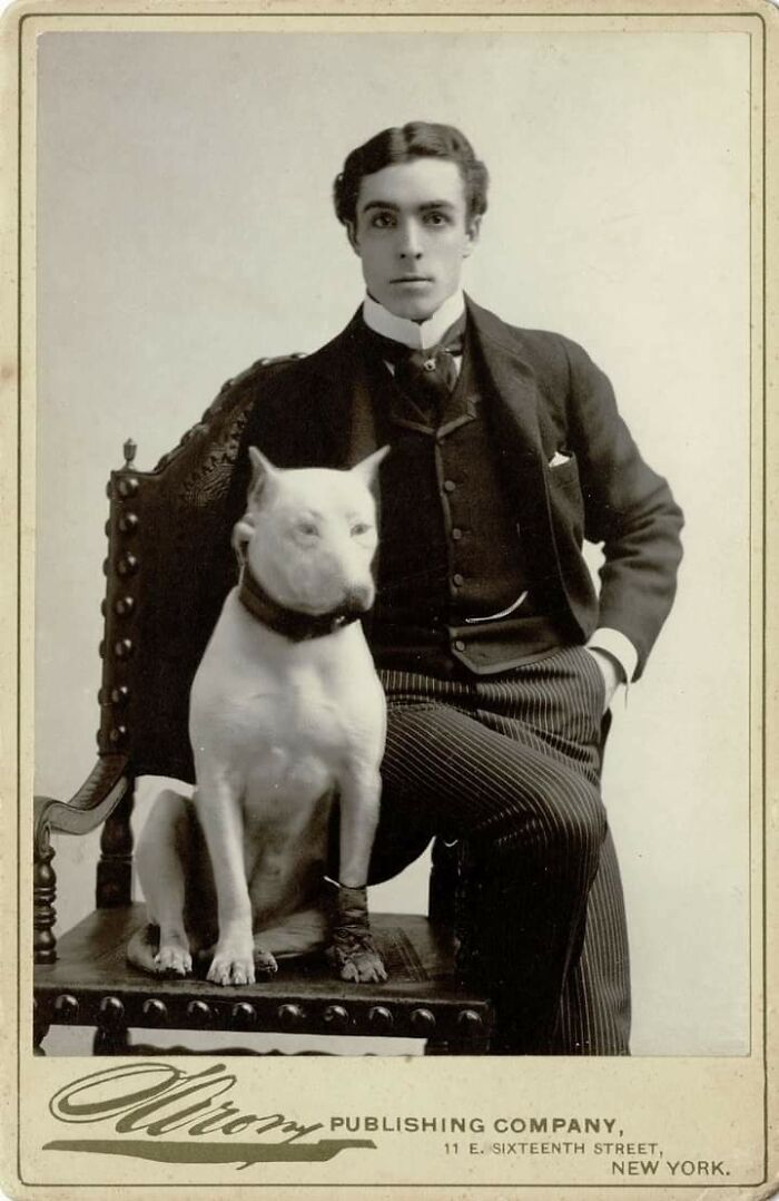 He's Probably A Good Boy But Sure Looks Odd