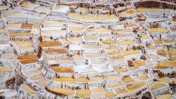 Various Types Of Brie Cheese