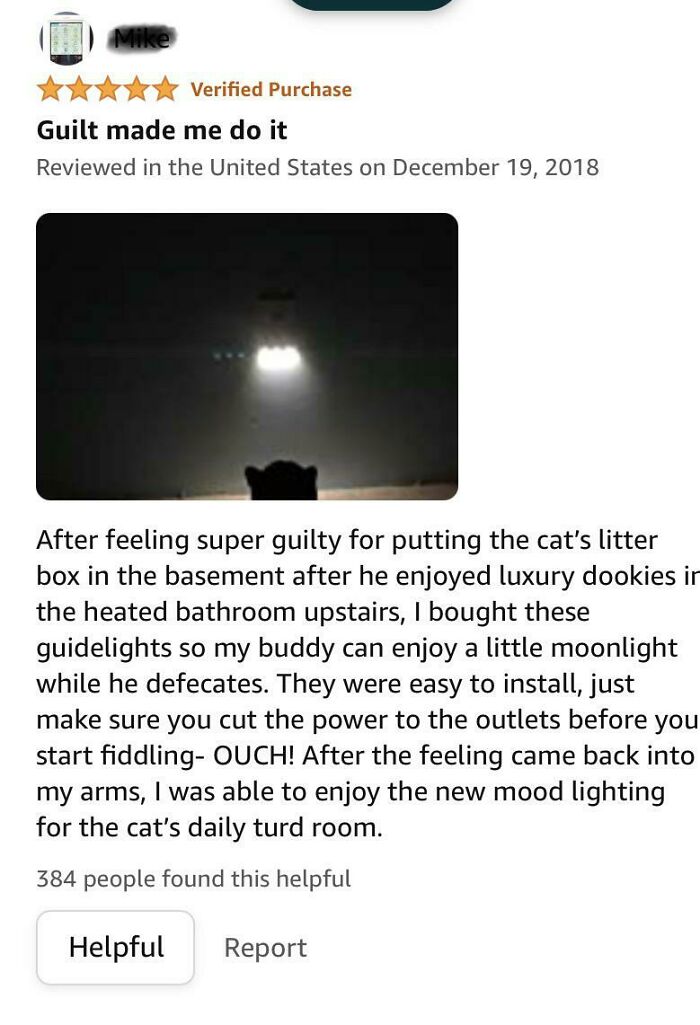 Guy Really Cares About The Comfort Of His Cat