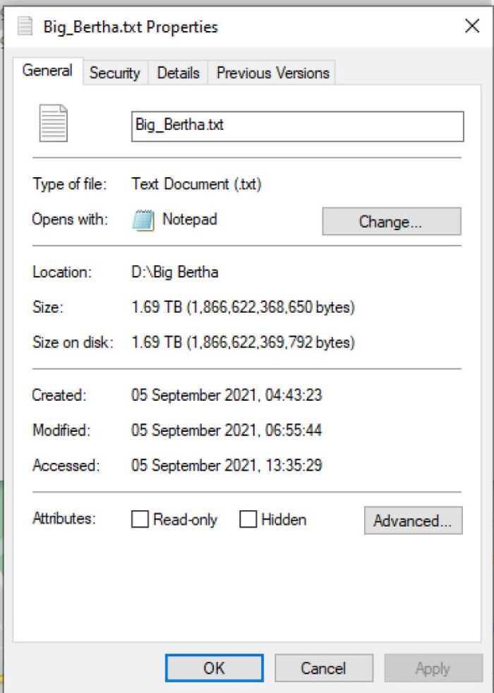 File properties window showing a 1.69 TB text document named Big_Bertha.txt on a local drive in a tech support case.
