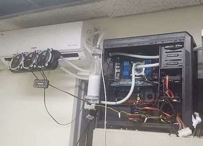 Sorry But Wtf Is This