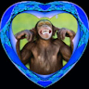 iamthatstrangereally avatar