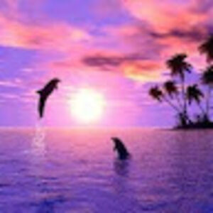 marvinaallous avatar