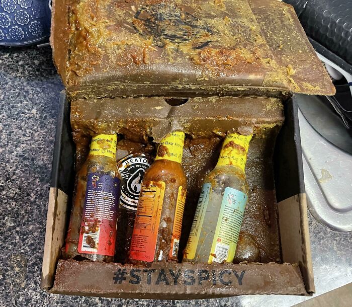 Was Pretty Excited That My Father’s Day Present Came Early