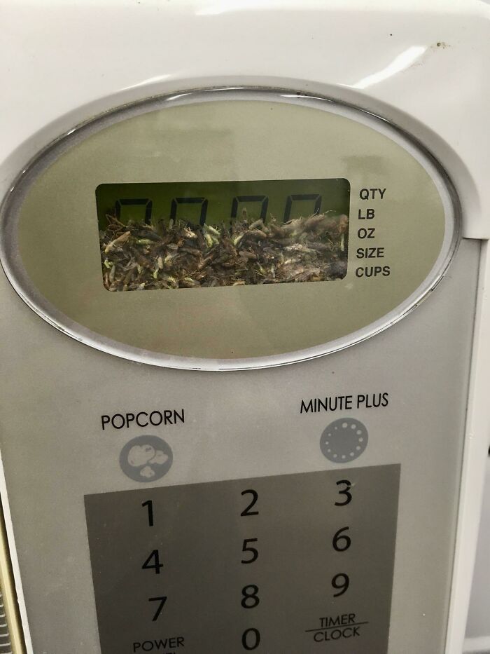 Update To Track The New Level Of Bugs In My Dad's Shop Microwave Display (They’re Drawn To The Clock's Backlight)