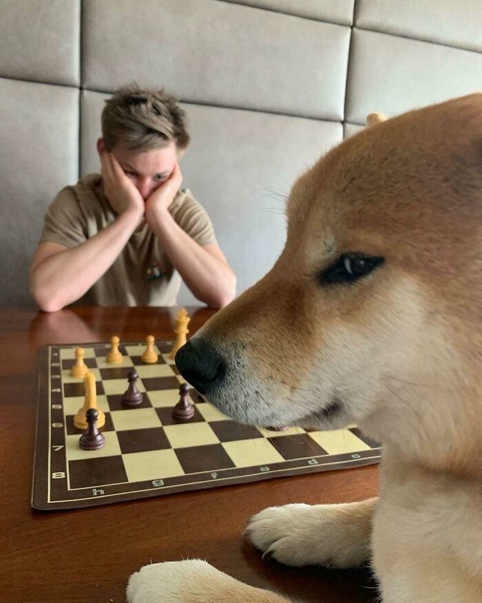 Woof_irl
