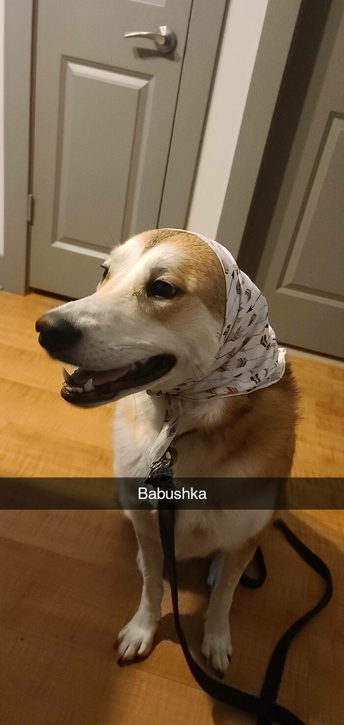 Woof_irl
