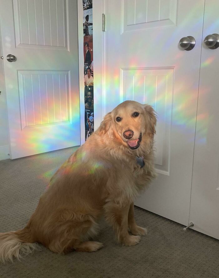 Un ángel en la vida real