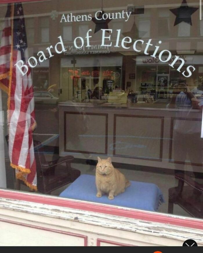 Would You Elect Him?