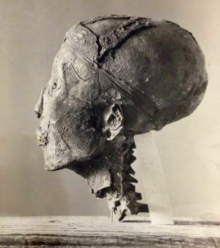 Tutankhamun's Head. Harry Burrton Photo Published Dec. 1925. @ Griffin Institute/Oxford University. 