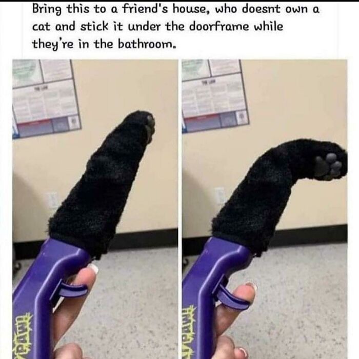 One For The Pranksters