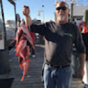 geoffreyscott avatar