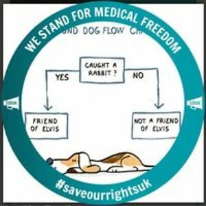 twocatsgroove avatar