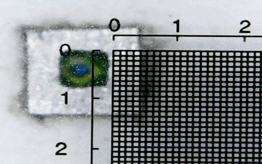 I Made The World&rsquo;s Smallest Painting (17 Pics)