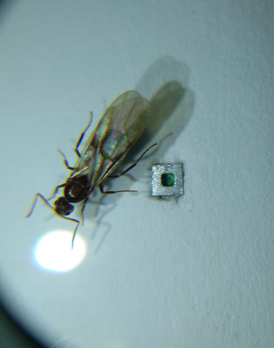 I Made The World&rsquo;s Smallest Painting (17 Pics)