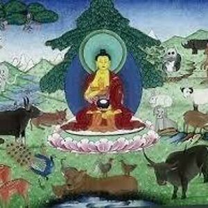 stephiebrennan108 avatar