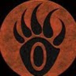 suzannahquixote avatar