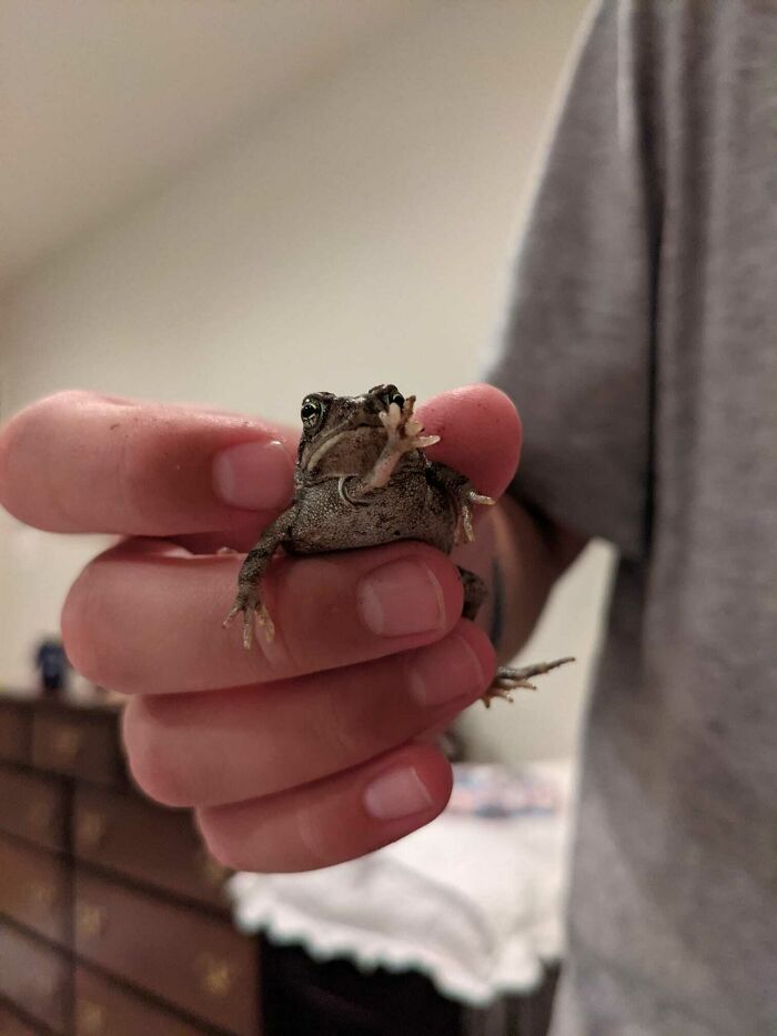 My Kids Found This On A Local Trail