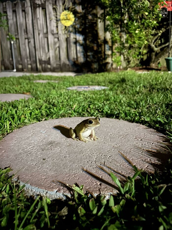 My Favorite Picture I’ve Taken Of This Guy