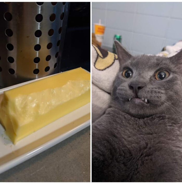 Discovered Strange Marks On My Butter. My Suspect Is Not A Good Liar