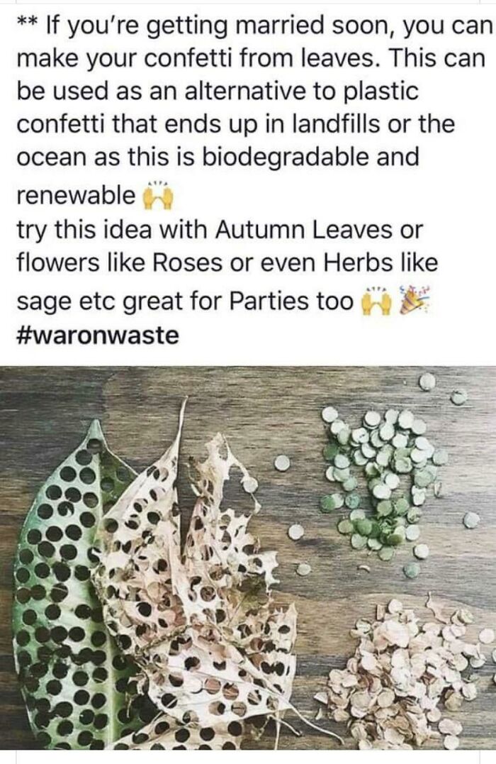 Creative anti-consumption idea using biodegradable leaf confetti as a sustainable alternative to plastic waste.