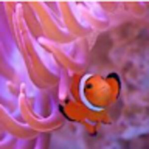 colleenstewart avatar