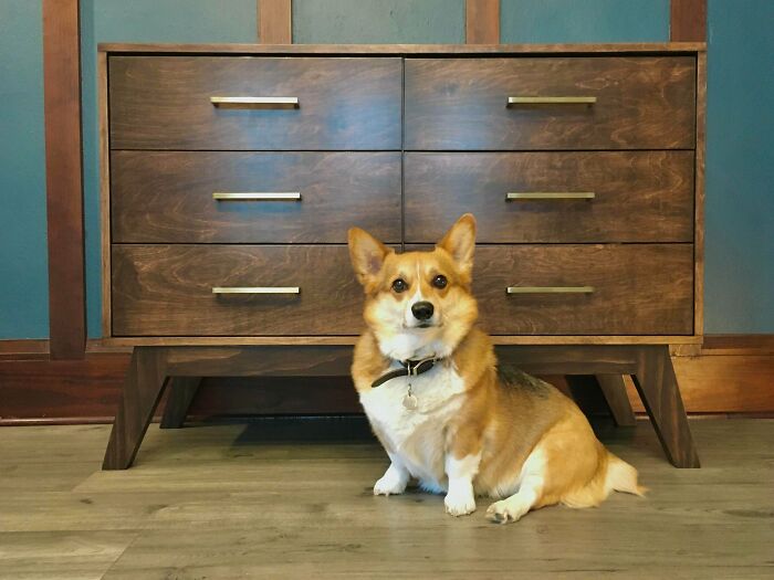 Soy un principiante, y esta es la primera vez que no hago algo a medias debido a la frustración