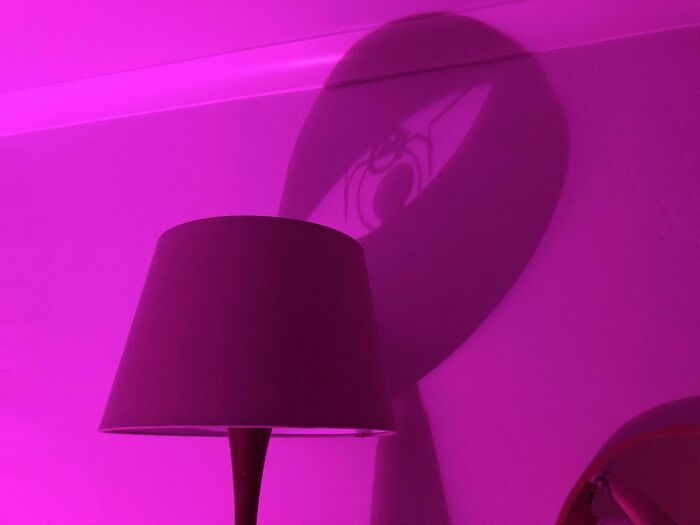 Shadow Cast By My Lamp Looks Like A Happy Spider With A Ball
