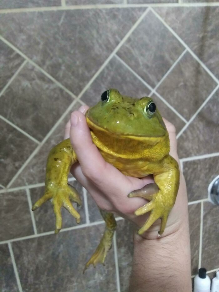 Look At This Handsome Dude