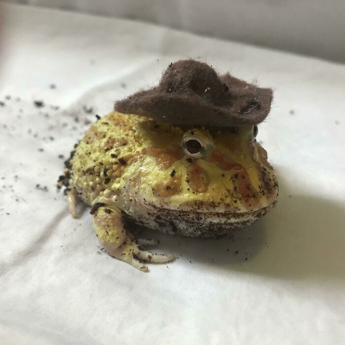 Y’all Just Gonna Scroll By Without Saying Howdy?