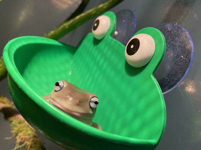 Carlos Is Not Happy That It’s Monday