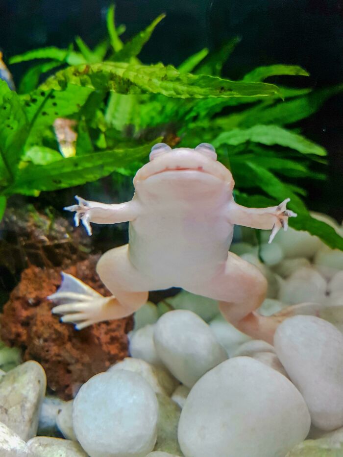 Ultimate Zen, Feeling Spaced Out