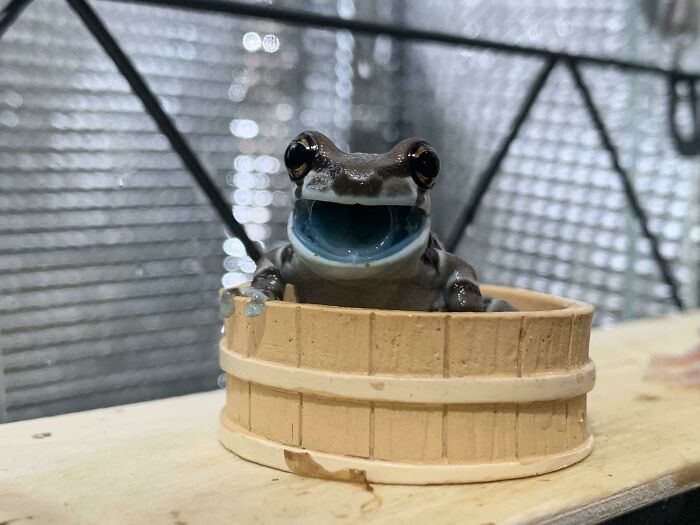 A Boy With A Lovely Smile