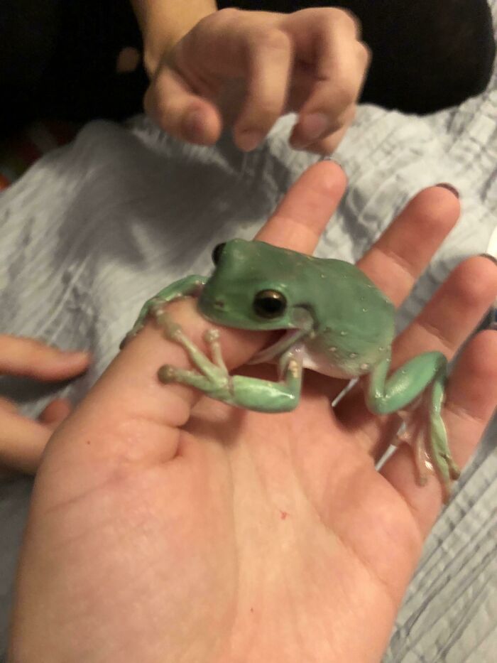 You All Enjoyed William In The Last Post So Heres Another Monchy Picture