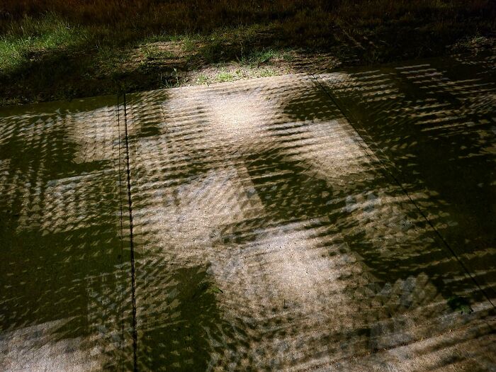 The Shadows From These Leaves Look Pixelated